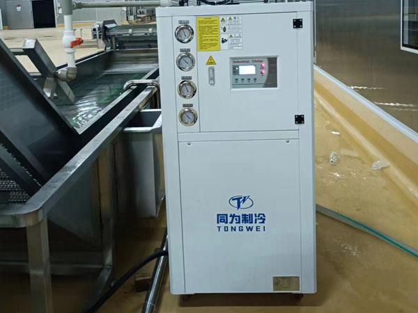 Tongwei installeer met succes 10 ton industriële luchtgekoelde koelmachine in klantvoedselfabriek